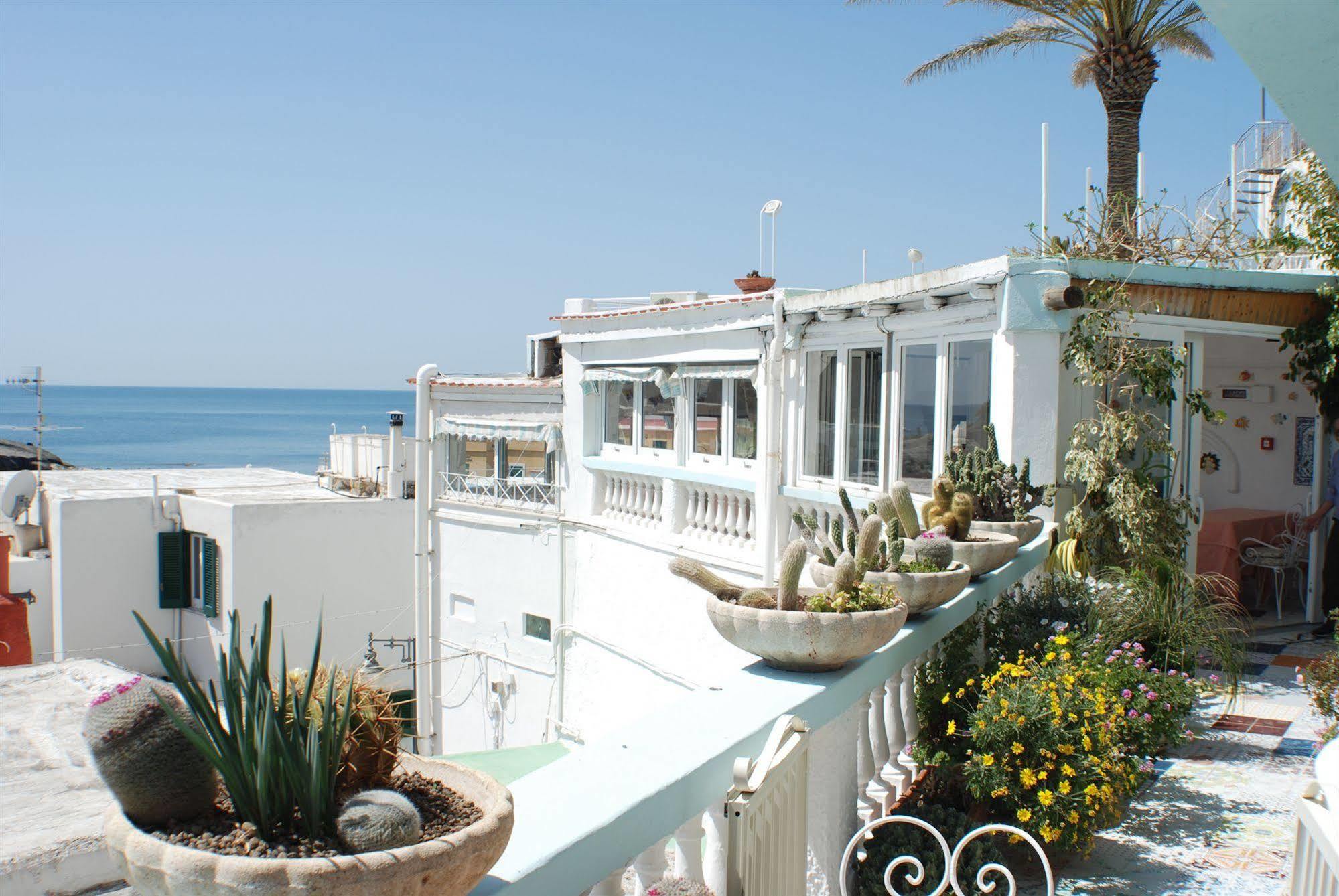 Hotel La Palma Sant'Angelo  Ngoại thất bức ảnh